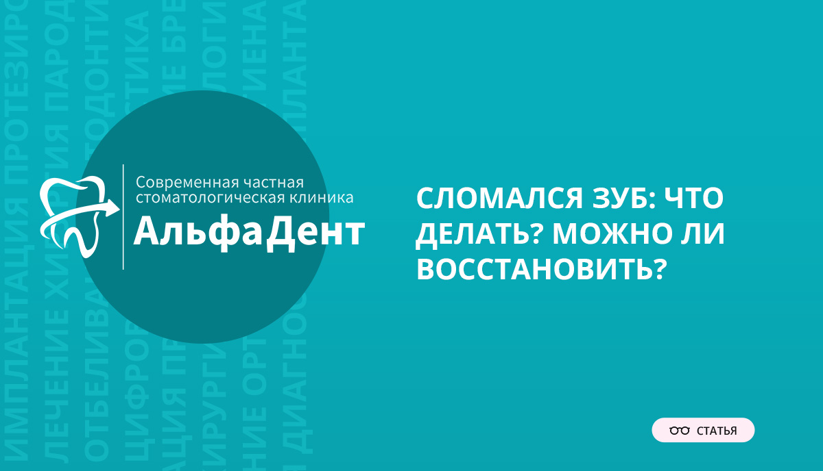 Сломался зуб: что делать? Можно ли восстановить? – Стоматология «АльфаДент»  в Оренбурге